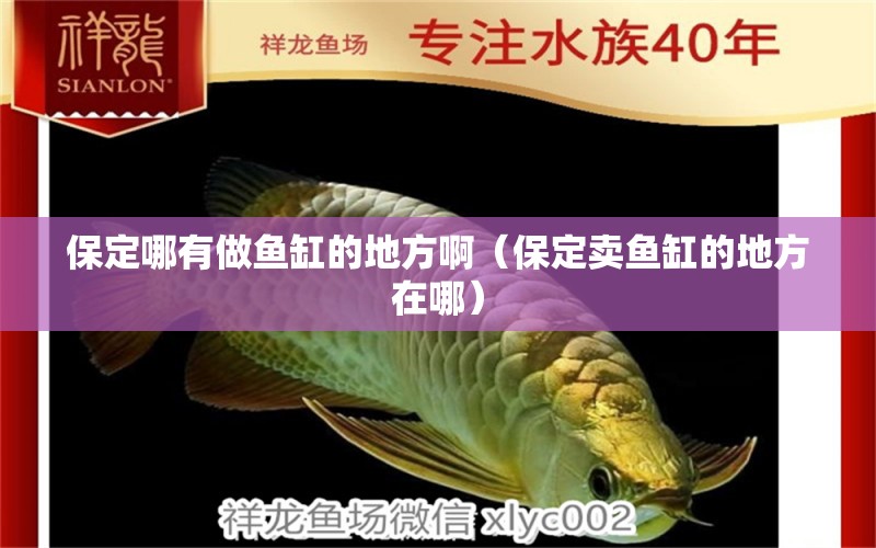 保定哪有做魚缸的地方?。ū６ㄙu魚缸的地方在哪）