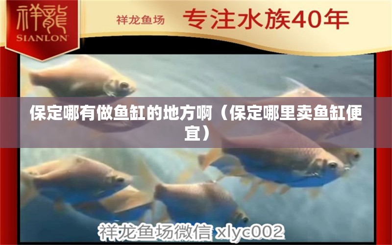 保定哪有做魚(yú)缸的地方?。ū６睦镔u魚(yú)缸便宜）