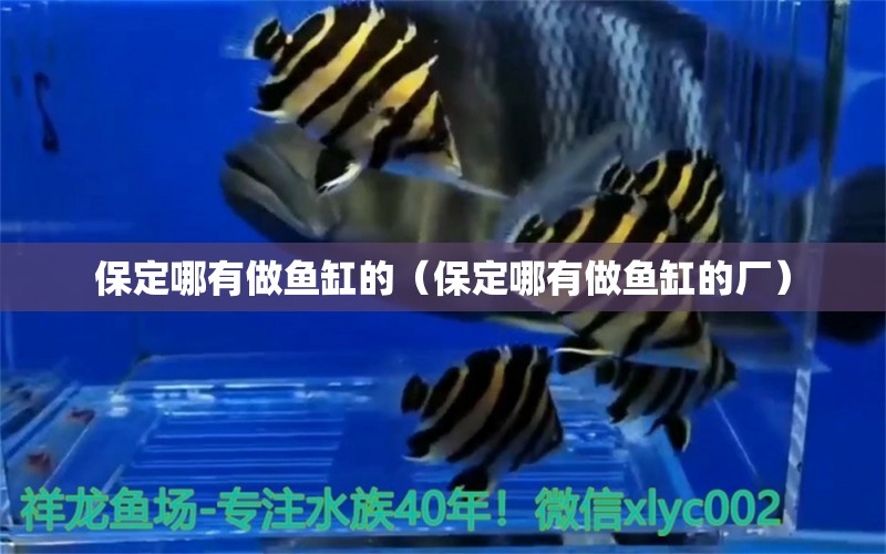 保定哪有做魚缸的（保定哪有做魚缸的廠） 其他品牌魚缸 第1張