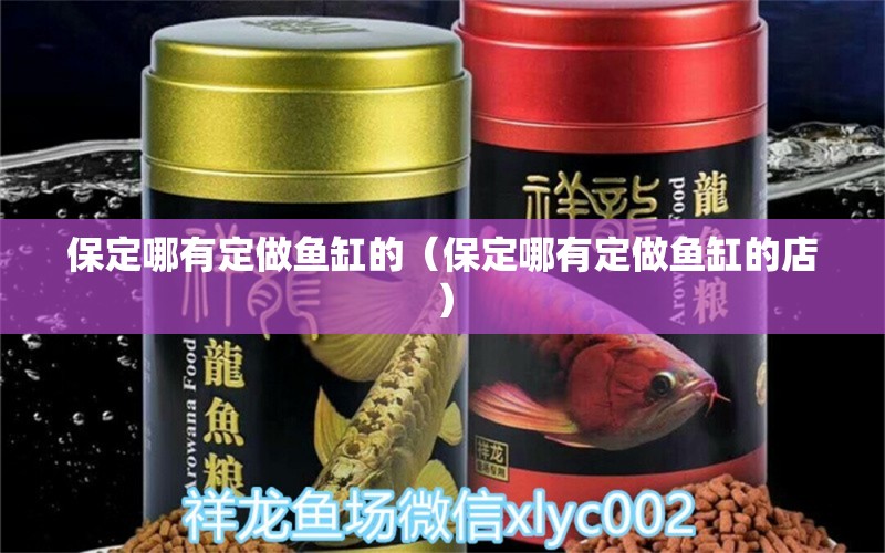 保定哪有定做魚缸的（保定哪有定做魚缸的店） 其他品牌魚缸