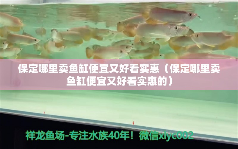 保定哪里賣魚缸便宜又好看實惠（保定哪里賣魚缸便宜又好看實惠的） 綠皮辣椒小紅龍