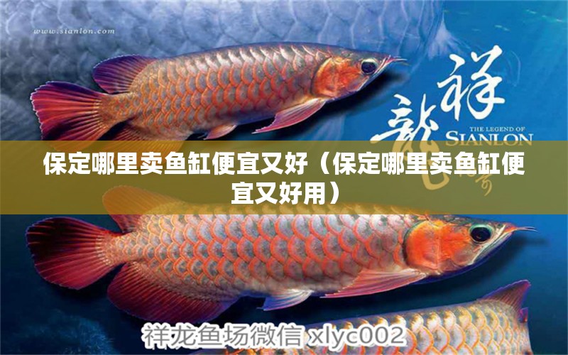 保定哪里賣(mài)魚(yú)缸便宜又好（保定哪里賣(mài)魚(yú)缸便宜又好用） 其他品牌魚(yú)缸