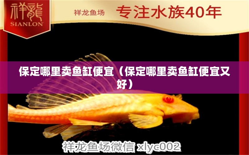 保定哪里賣魚缸便宜（保定哪里賣魚缸便宜又好）