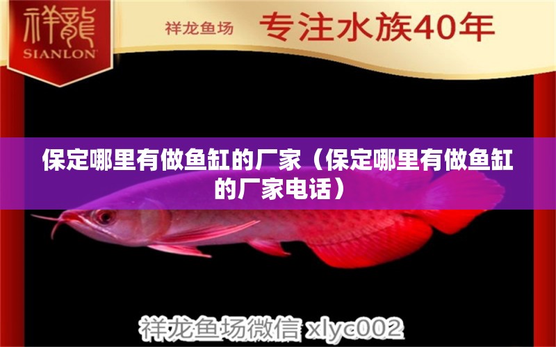 保定哪里有做魚缸的廠家（保定哪里有做魚缸的廠家電話） 其他品牌魚缸