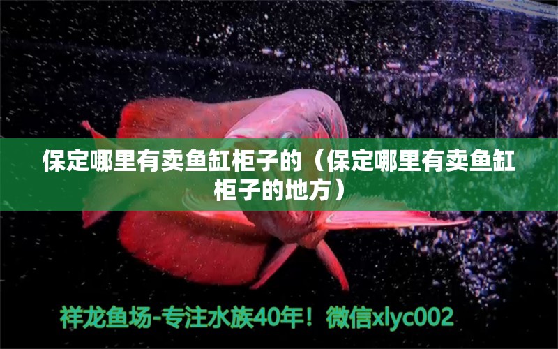 保定哪里有賣(mài)魚(yú)缸柜子的（保定哪里有賣(mài)魚(yú)缸柜子的地方）