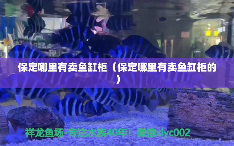 保定哪里有賣魚缸柜（保定哪里有賣魚缸柜的） 其他品牌魚缸