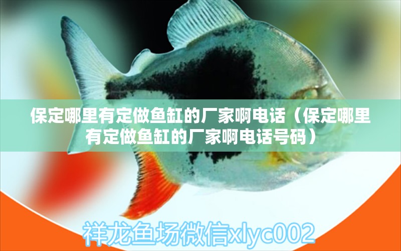 保定哪里有定做魚(yú)缸的廠家啊電話（保定哪里有定做魚(yú)缸的廠家啊電話號(hào)碼） 觀賞魚(yú)市場(chǎng)（混養(yǎng)魚(yú)）