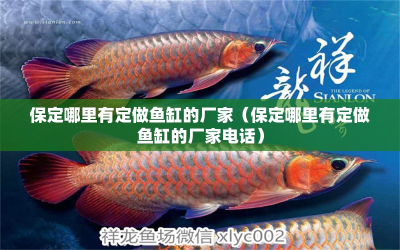 保定哪里有定做魚缸的廠家（保定哪里有定做魚缸的廠家電話）