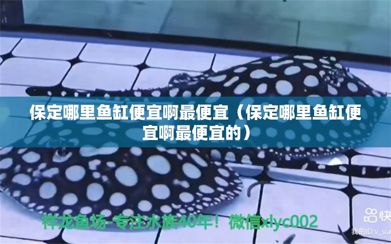 保定哪里魚缸便宜啊最便宜（保定哪里魚缸便宜啊最便宜的） 其他品牌魚缸