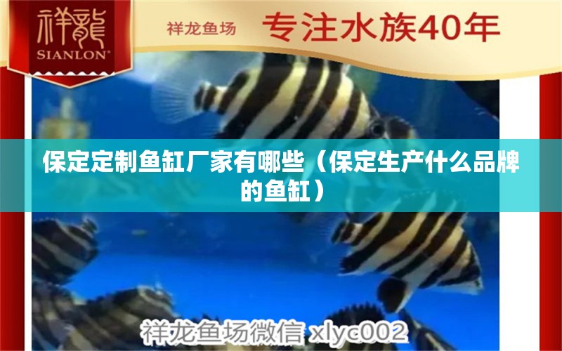 保定定制魚缸廠家有哪些（保定生產什么品牌的魚缸） 黃金招財貓魚 第1張