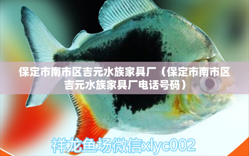 保定市南市區(qū)吉元水族家具廠（保定市南市區(qū)吉元水族家具廠電話號碼）