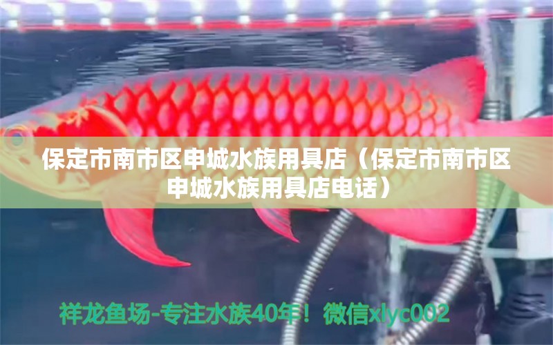 保定市南市區(qū)申城水族用具店（保定市南市區(qū)申城水族用具店電話）