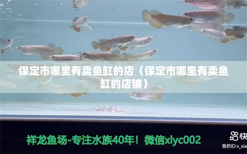 保定市哪里有賣(mài)魚(yú)缸的店（保定市哪里有賣(mài)魚(yú)缸的店鋪） 其他品牌魚(yú)缸