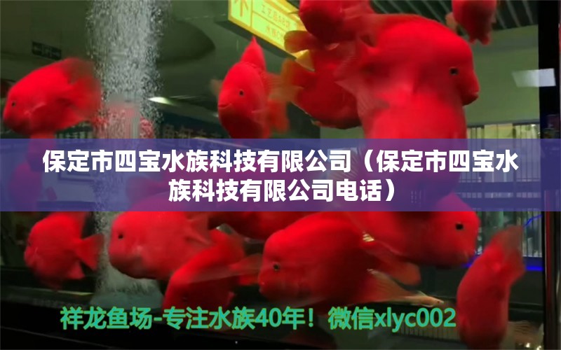 保定市四寶水族科技有限公司（保定市四寶水族科技有限公司電話）