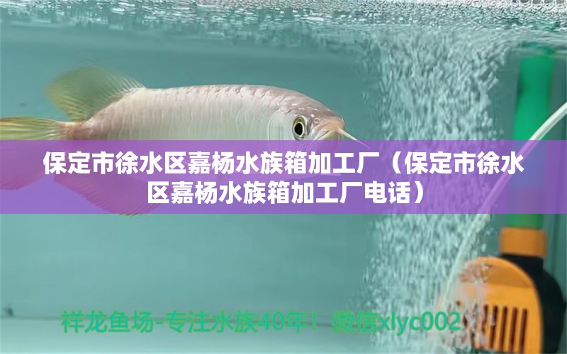 保定市徐水區(qū)嘉楊水族箱加工廠（保定市徐水區(qū)嘉楊水族箱加工廠電話）