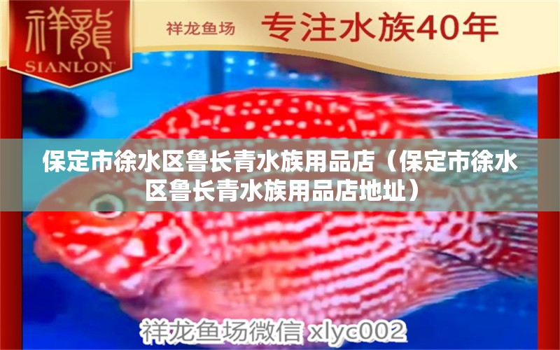 保定市徐水區(qū)魯長(zhǎng)青水族用品店（保定市徐水區(qū)魯長(zhǎng)青水族用品店地址） 水族用品