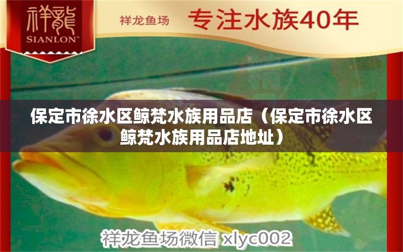 保定市徐水區(qū)鯨梵水族用品店（保定市徐水區(qū)鯨梵水族用品店地址） 水族用品