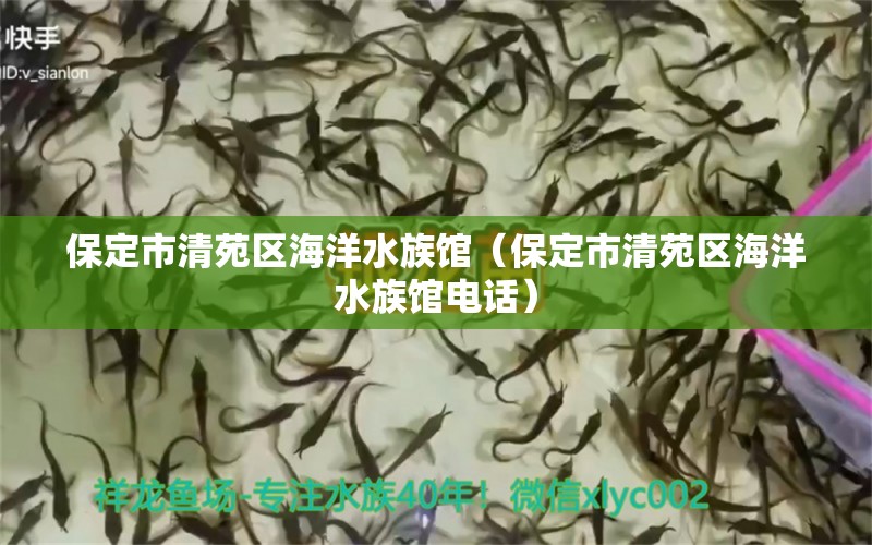 保定市清苑區(qū)海洋水族館（保定市清苑區(qū)海洋水族館電話）