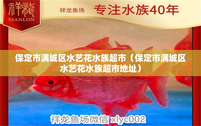 保定市滿城區(qū)水藝花水族超市（保定市滿城區(qū)水藝花水族超市地址） 全國(guó)水族館企業(yè)名錄