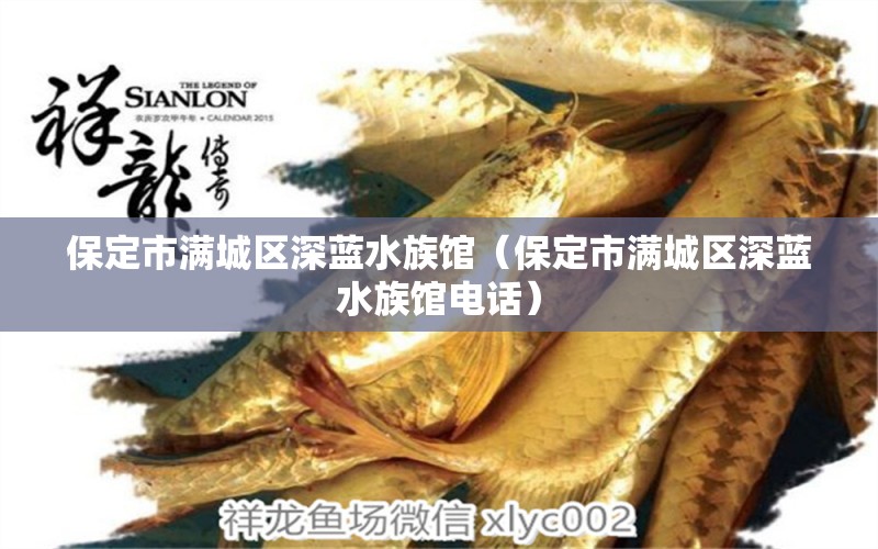 保定市滿城區(qū)深藍(lán)水族館（保定市滿城區(qū)深藍(lán)水族館電話） 全國水族館企業(yè)名錄