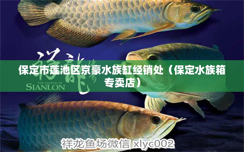 保定市蓮池區(qū)京豪水族缸經(jīng)銷處（保定水族箱專賣店） 魚缸/水族箱