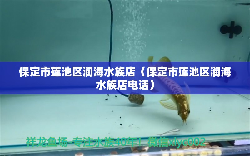 保定市蓮池區(qū)潤海水族店（保定市蓮池區(qū)潤海水族店電話）