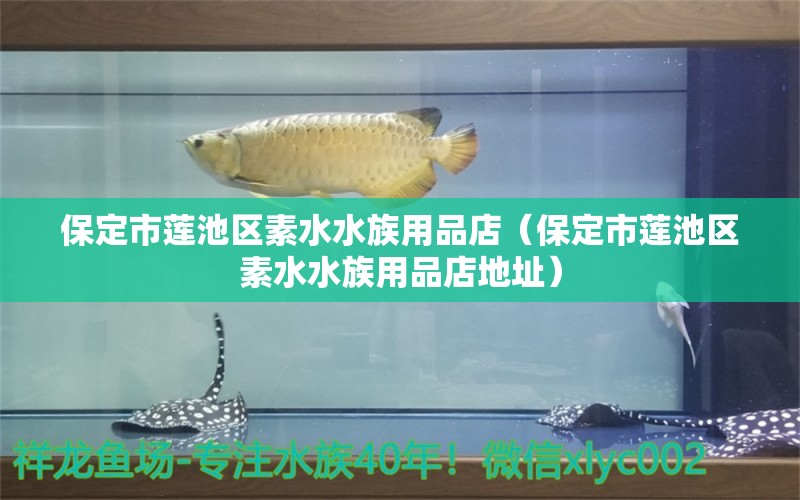 保定市蓮池區(qū)素水水族用品店（保定市蓮池區(qū)素水水族用品店地址）