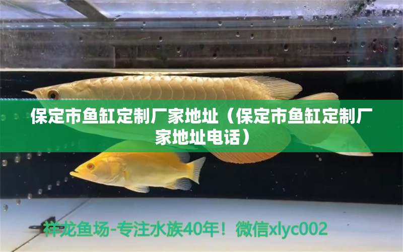 保定市魚缸定制廠家地址（保定市魚缸定制廠家地址電話） 其他品牌魚缸