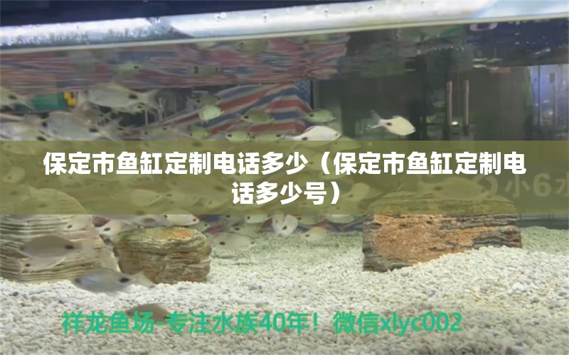 保定市魚缸定制電話多少（保定市魚缸定制電話多少號） 其他品牌魚缸