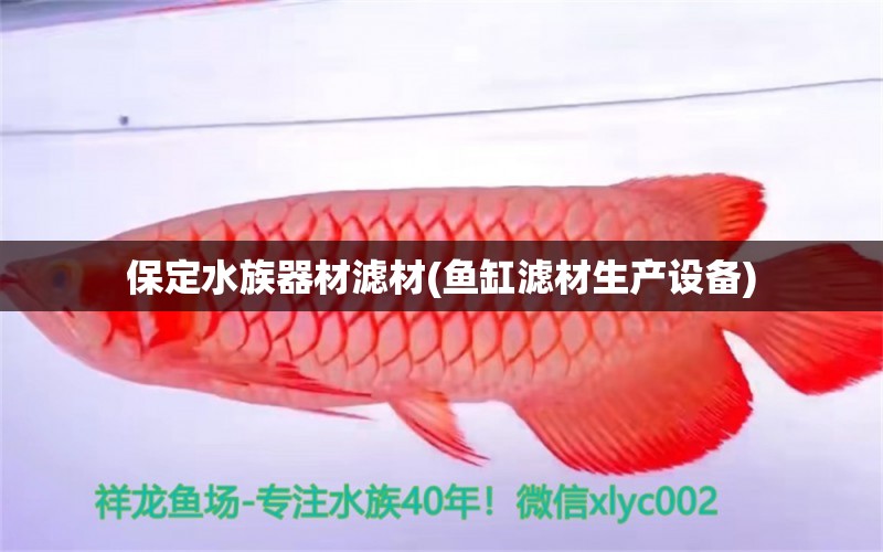 保定水族器材濾材(魚缸濾材生產(chǎn)設(shè)備) 二氧化碳設(shè)備