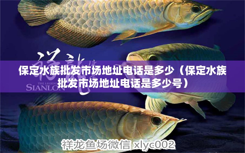 保定水族批發(fā)市場地址電話是多少（保定水族批發(fā)市場地址電話是多少號）