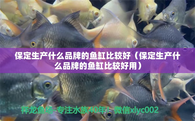 保定生產(chǎn)什么品牌的魚缸比較好（保定生產(chǎn)什么品牌的魚缸比較好用） 其他品牌魚缸 第1張