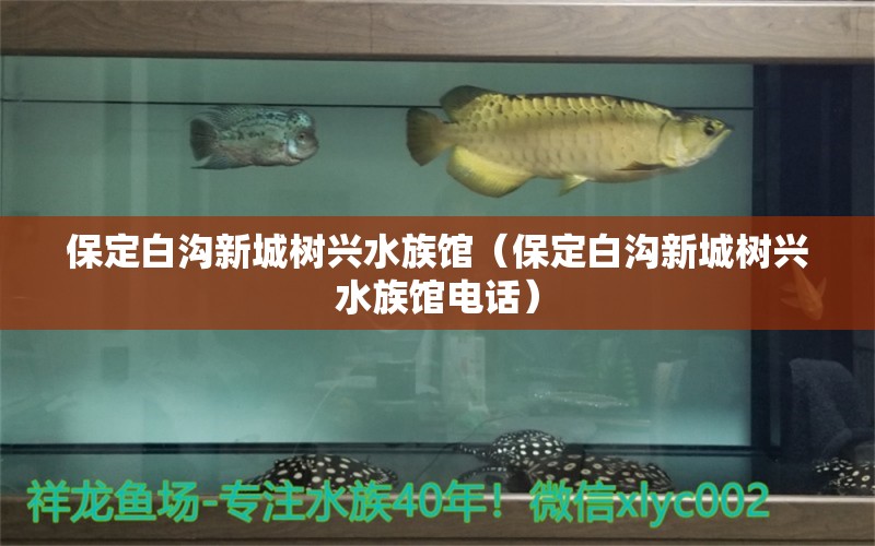 保定白溝新城樹(shù)興水族館（保定白溝新城樹(shù)興水族館電話(huà)）