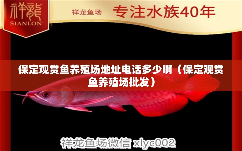 保定觀賞魚(yú)養(yǎng)殖場(chǎng)地址電話多少?。ū６ㄓ^賞魚(yú)養(yǎng)殖場(chǎng)批發(fā)）