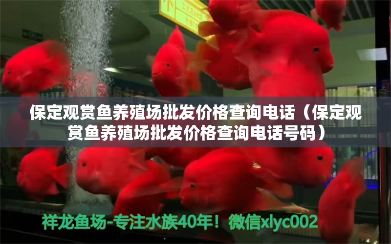 保定觀賞魚養(yǎng)殖場批發(fā)價格查詢電話（保定觀賞魚養(yǎng)殖場批發(fā)價格查詢電話號碼）