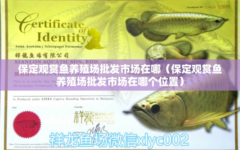 保定觀賞魚養(yǎng)殖場批發(fā)市場在哪（保定觀賞魚養(yǎng)殖場批發(fā)市場在哪個位置）