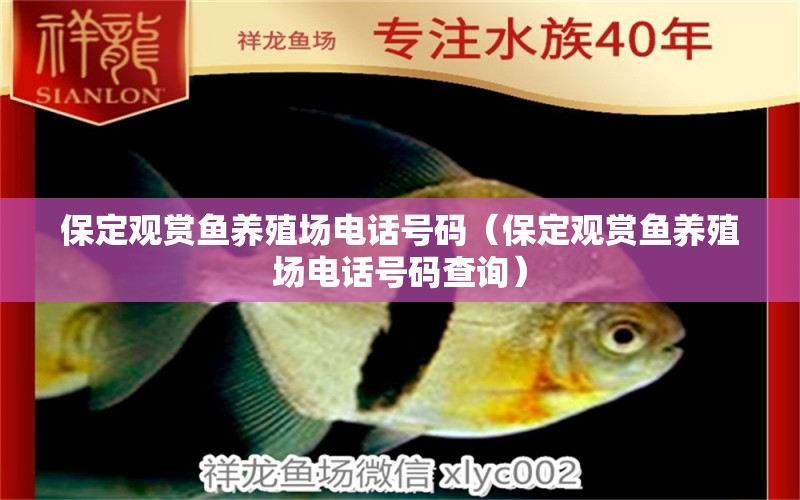 保定觀賞魚養(yǎng)殖場電話號碼（保定觀賞魚養(yǎng)殖場電話號碼查詢）