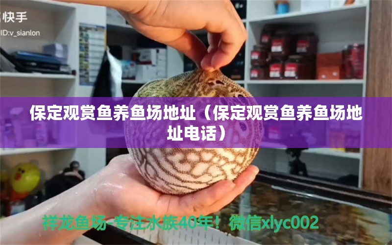 保定觀賞魚養(yǎng)魚場地址（保定觀賞魚養(yǎng)魚場地址電話）