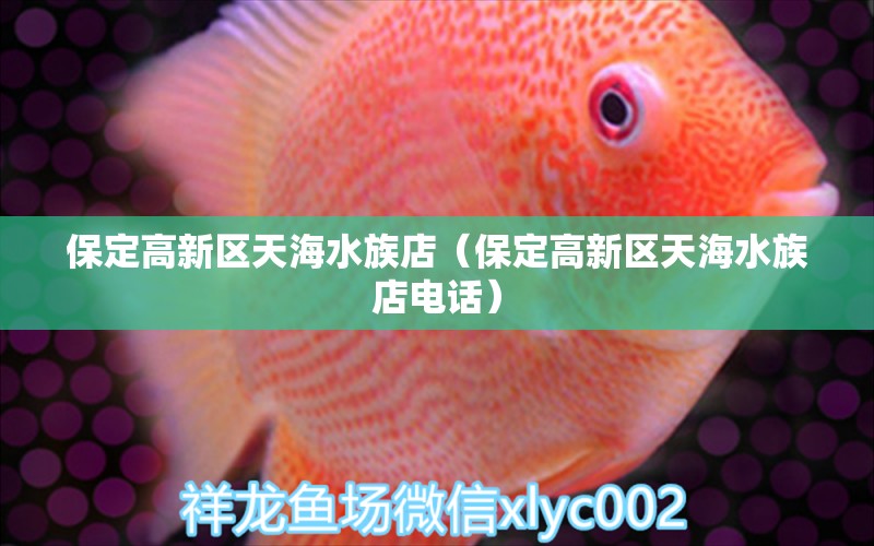 保定高新區(qū)天海水族店（保定高新區(qū)天海水族店電話） 全國水族館企業(yè)名錄