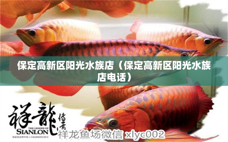 保定高新區(qū)陽(yáng)光水族店（保定高新區(qū)陽(yáng)光水族店電話）