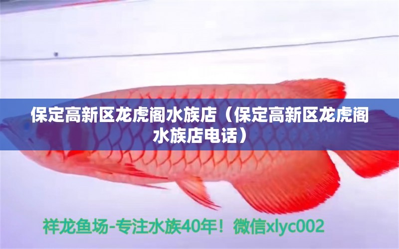 保定高新區(qū)龍虎閣水族店（保定高新區(qū)龍虎閣水族店電話） 全國(guó)水族館企業(yè)名錄