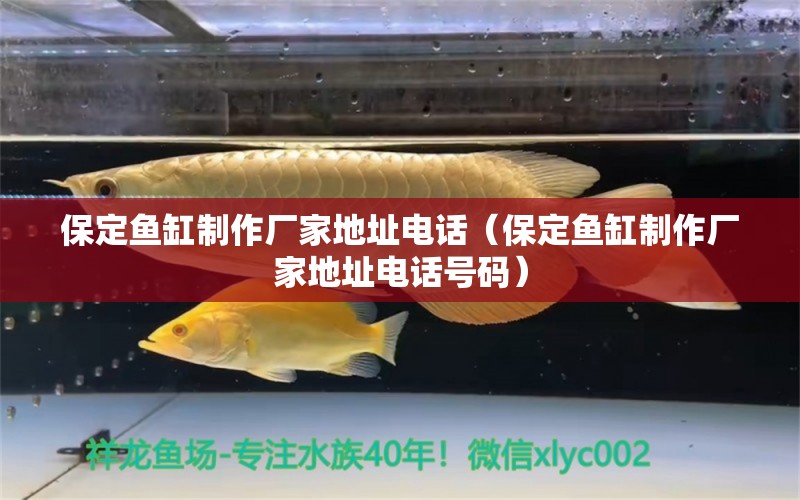 保定魚缸制作廠家地址電話（保定魚缸制作廠家地址電話號(hào)碼）