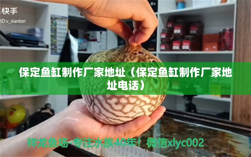 保定魚缸制作廠家地址（保定魚缸制作廠家地址電話） 其他品牌魚缸