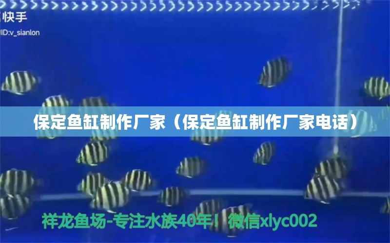 保定魚缸制作廠家（保定魚缸制作廠家電話）