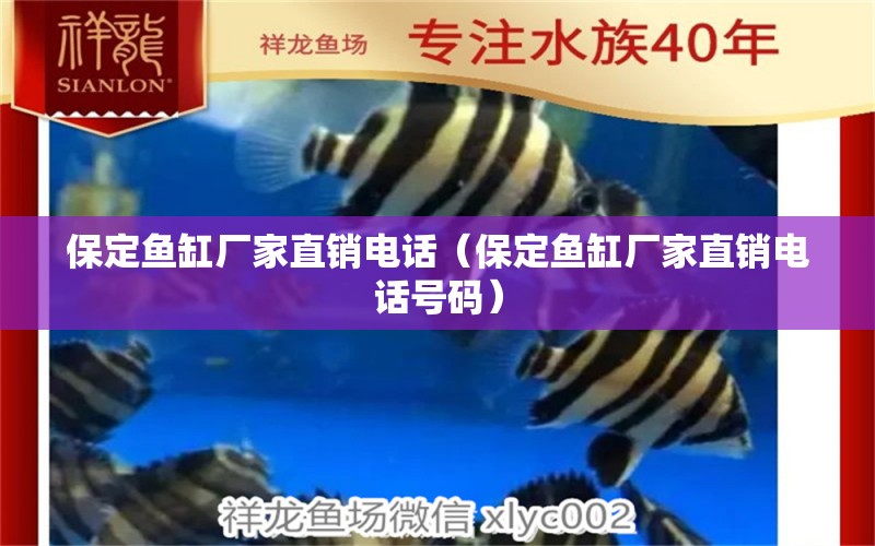 保定魚缸廠家直銷電話（保定魚缸廠家直銷電話號碼）