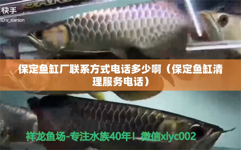 保定魚缸廠聯(lián)系方式電話多少啊（保定魚缸清理服務(wù)電話） 廣州觀賞魚批發(fā)市場