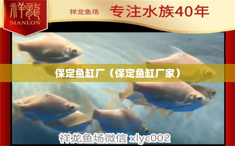 保定魚缸廠（保定魚缸廠家）