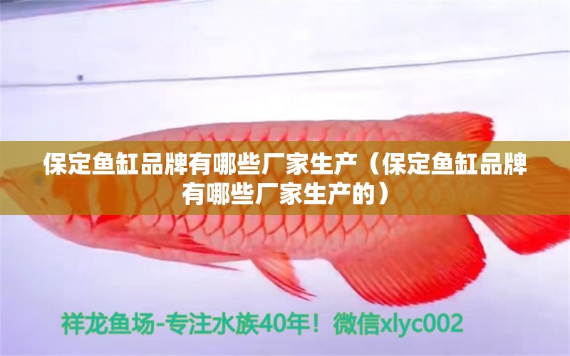 保定魚缸品牌有哪些廠家生產(chǎn)（保定魚缸品牌有哪些廠家生產(chǎn)的）