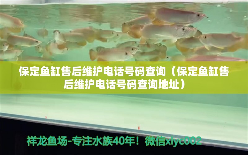 保定魚缸售后維護(hù)電話號(hào)碼查詢（保定魚缸售后維護(hù)電話號(hào)碼查詢地址） 其他品牌魚缸