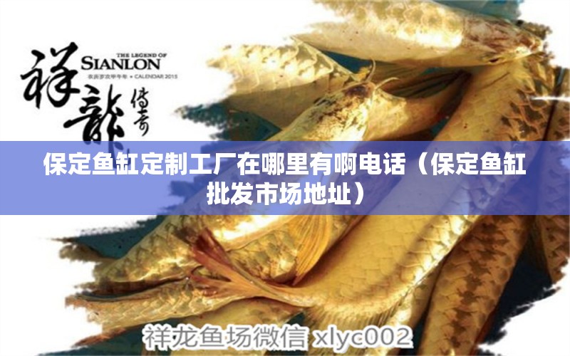 保定魚缸定制工廠在哪里有啊電話（保定魚缸批發(fā)市場地址）